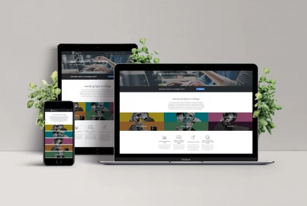 diseñador web Málaga